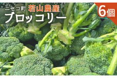 ニセコ町 若山農産 ブロッコリー 6個 ぶろっこりー 野菜 ニセコ町産 農家直送 新鮮 やさい 数量限定 万能野菜 ベジタブル 8,000円 オンライン 申請 ふるさと納税 北海道 ニセコ にせこ【40002】