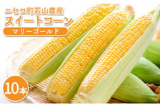 ニセコ町 若山農産 スイートコーン とうもろこし トウモロコシ 10本 マリーゴールド 野菜 コーン  ニセコ町産 農家直送 新鮮 やさい 数量限定 万能野菜 ベジタブル  オンライン 申請 ふるさと納税 北海道 ニセコ にせこ 【40005】