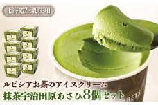 ルピシアのお茶 アイス グラス＆ソルベ 宇治抹茶 抹茶 8個セット 8個 ルピシア ルピシアグルマン アイスクリーム お茶 まっちゃ まっ茶 紅茶 生乳 北海道 ふるさと納税 ニセコ町 ニセコ お茶のルピシア LUPICIA リッチ 北海道ニセコ町【06141】