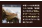 【北海道ニセコ町】クマゲラ製作　デザインは届いてからのお楽しみ木製シール2枚（北海道産木材使用）