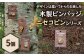 【北海道ニセコ町】クマゲラ製作　デザインは届いてからのお楽しみ　木製ピンバッジ　ニセコピン　シリーズ５個　（北海道産木材使用）