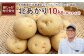 【新じゃが先行受付！】多田農園の北海道安心ラベル「Yes!clean」認証　北あかり10kg（LM-Lサイズ）