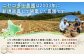 【新じゃが先行受付！】多田農園の北海道安心ラベル「Yes!clean」認証　北あかり10kg（LM-Lサイズ）
