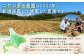 【新じゃが先行受付！】多田農園の北海道安心ラベル「Yes!clean」認証　男爵10kg（LM-Lサイズ）