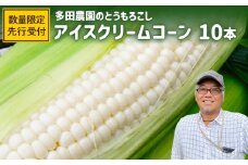 【とうもろこし数量限定先行受付！】多田農園のとうもろこし　アイスクリームコーン10本【51006】