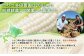 【とうもろこし数量限定先行受付！】多田農園のとうもろこし　アイスクリームコーン10本
