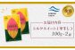 【ニセコ町】シルクスイート(平干し)　100ｇ×2袋