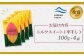 【ニセコ町】シルクスイート(平干し)　100ｇ×4袋