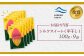 【ニセコ町】シルクスイート(平干し)　100ｇ×9袋