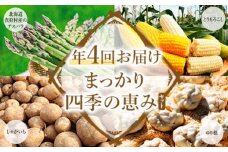 まっかり四季の恵みセット（年4回お届け）【北海道真狩村産のアスパラ、とうもろこし、じゃがいも、ゆり根】<2026年アスパラはじまり>【0117801】