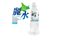 【5年保存水】北海道ミネラルウォーター500ml×24本「カムイワッカ 麗水」【08101】