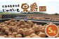 甘くてホクホク！太陽の光をたっぷりと浴びた　北海道真狩村産じゃがいも　男爵「まっかりじゃが」5kg【2025年産】