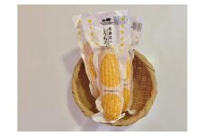 北海道のとうもろこし（2023年北海道真狩村産とうもろこし使用）＜2023年10月から順次発送＞【11104】