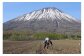 ＜数量限定・早期予約＞北海道真狩村産　グリーンアスパラ約2kg【2026年産】