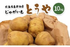 【新じゃが】太陽の光をたっぷりと浴びた北海道真狩産じゃがいも・とうや 10kg【2025年産】【0114701】