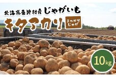 甘くてホクホク！太陽の光をたっぷりと浴びた　北海道真狩村産じゃがいも　キタアカリ「まっかりじゃが」10kg【2025年産】【0114501】
