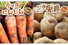 北海道真狩村産　雪の下にんじん約10kgと越冬じゃがいも約5kg Aセット(男爵)  【2026年春お届け分】【0115201】