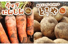 北海道真狩村産　雪の下にんじん約10kgと越冬じゃがいも約5kg Aセット(とうや)  【2026年春お届け分】【0115401】