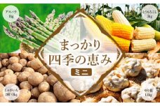 【2026年産】まっかり四季の恵み（ミニ）(アスパラ1kg、とうもろこし5kg、じゃがいも2種×5kg、ゆり根L1kg)【0117701】