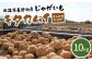 甘くてホクホク！太陽の光をたっぷりと浴びた　北海道真狩村産じゃがいも　キタカムイ「まっかりじゃが」10kg【2025年産】