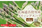 ＜数量限定・早期予約＞北海道真狩村産　グリーンアスパラ約1kg【2026年産】