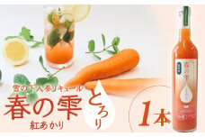 【北海道限定】雪の下人参リキュール 春の雫　～とろり～(紅あかり)1本【01195】