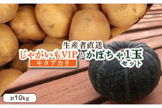 【先行予約】（生産者直送）じゃがいも VIP キタアカリ かぼちゃ 1玉 セット 計10ｋｇ いも 芋 イモ ジャガイモ きたあかり カボチャ 南瓜 オンライン 申請 ふるさと納税 北海道 留寿都 野菜 旬野菜 産地直送 新鮮 先行予約 詰め合わせ 留寿都村【12004】