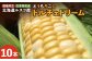 【数量限定】《生産者直送》北海道ルスツ産とうもろこし「ドルチェドリーム」10本（玉手農場）（オンライン決済限定）