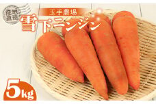 玉手農場 雪下にんじん 5kg 人参 にんじん ニンジン 越冬 オンライン 申請 ふるさと納税 北海道 留寿都 野菜 旬野菜 季節野菜 甘い みずみずしい 産地直送 新鮮 採れたて 先行予約 サラダ カレー 5キロ 留寿都村【12008】