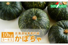 かぼちゃ 10kg 5～8玉 カボチャ 南瓜 オンライン 申請 ふるさと納税 北海道 留寿都 野菜 緑黄色野菜 旬野菜 季節野菜 甘い ホクホク 産地直送 新鮮 採れたて 煮物 天ぷら サラダ コロッケ 10キロ 留寿都村【2401101】