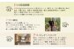 かぼちゃ 10kg（5～8玉）
