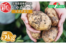 新じゃがいも キタアカリ 5kg いも おいも 芋 イモ ジャガイモ ポテト きたあかり オンライン 申請 ふるさと納税 北海道 留寿都 野菜 根菜 ホクホク 産地直送 新鮮 採れたて ポテトサラダ コロッケ スープ 5キロ 留寿都村【2401201】