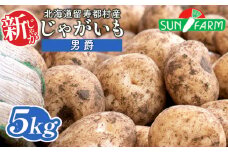 新じゃがいも 男爵 5kg いも おいも 芋 イモ ジャガイモ ポテト だんしゃく オンライン 申請 ふるさと納税 北海道 留寿都 野菜 根菜 産地直送 新鮮 採れたて ポテトサラダ コロッケ マッシュポテト 5キロ 留寿都村【2401401】