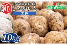 新じゃがいも 男爵 10kg いも おいも 芋 イモ ジャガイモ ポテト だんしゃく オンライン 申請 ふるさと納税 北海道 留寿都 野菜 根菜 産地直送 新鮮 採れたて ポテトサラダ コロッケ マッシュポテト 10キロ 留寿都村【2401501】
