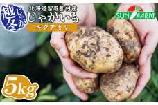 越冬じゃがいも キタアカリ 5kg いも おいも 芋 イモ ジャガイモ ポテト きたあかり オンライン 申請 ふるさと納税 北海道 留寿都 野菜 根菜 ホクホク 産地直送 新鮮 採れたて ポテトサラダ コロッケ スープ 5キロ 留寿都村【24020】