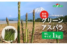 【先行予約】 グリーンアスパラ MLサイズ 1kg オンライン 申請 ふるさと納税 北海道 留寿都 アスパラ アスパラガス 野菜 春 旬野菜 季節野菜 産地直送 新鮮 採れたて サラダ おかず グラタン 肉巻き 1キロ 留寿都村【24001】