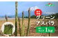 【先行予約】北海道留寿都村産　グリーンアスパラ MLサイズ1kg
