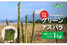 【先行予約】グリーンアスパラ 太物 L～2Lサイズ 1kg オンライン 申請 ふるさと納税 北海道 留寿都 アスパラ アスパラガス 野菜 春 旬野菜 季節野菜 産地直送 新鮮 採れたて サラダ おかず グラタン 肉巻き 1キロ 留寿都村【24002】
