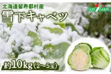雪下キャベツ 約10kg 2～5玉 きゃべつ 越冬 オンライン 申請 ふるさと納税 北海道 留寿都 野菜 旬野菜 季節野菜 甘い みずみずしい 産地直送 新鮮 採れたて サラダ ポトフ 野菜炒め 汁物 カレー 約10キロ 留寿都村【24010】
