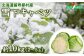 【先行予約】北海道留寿都村産　雪下キャベツ 約10kg（2～5玉）