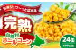 自然甘ホールコーン 24缶 コーン コーン缶 とうもろこし トウモロコシ 北海道 常温 常温配送 