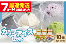 ミルク工房 カップアイスセット（130ml×10個）《喜茂別町》【ニセコリゾート観光協会】 アイス アイスクリーム  カップアイス 牛乳 牧場 ジェラ―ト ミルク 抹茶 ブルーベリー セット スイーツ 濃厚 ご褒美 新鮮 産地直送 ギフト 贈答品 デザート 詰め合わせ 冷凍 冷凍配送 北海道 美味しい 人気 おすすめ お中元 御中元 [AJAI011] 11000 11000円