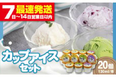 ミルク工房 カップアイスセット（130ml×20個）《喜茂別町》【ニセコリゾート観光協会】 アイス アイスクリーム ジェラ―ト ミルク 抹茶 ブルーベリー セット 詰め合わせ 冷凍 冷凍配送 北海道 [AJAI012] 20000 20000円 2万円