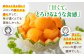 メロン めろん 大玉 赤肉メロン 化粧箱入り 贅沢 糖度14度 贈答 北海道  甘い