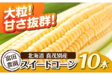 【2026年分予約開始！】こだわり農家の喜茂別産スイートコーン 10本 《喜茂別町》【富田農園/スプレス】 スイートコーン コーン トウモロコシ とうもろこし 夏野菜 野菜 季節の野菜 冷蔵 冷蔵配送 北海道 [AJAJ003] 15000 15000円