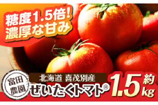 【2026年分予約開始！】こだわり農家の喜茂別産ぜいたくトマトⓇ 約1.5kg 《喜茂別町》【富田農園/スプレス】 トマト とまと 先行予約 夏野菜 季節の野菜 冷蔵 冷蔵配送 産地直送 北海道 [AJAJ004] 16000 16000円