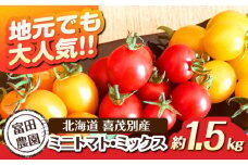 【2026年分予約開始！】こだわり農家の喜茂別産ミニトマト・ミックス 約1.5kg 《喜茂別町》【富田農園/スプレス】 トマト とまと ミニトマト 野菜 季節の野菜 夏野菜 先行予約 産地直送 北海道 [AJAJ007]  16000 16000円