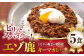 本格キーマカレー 5食 ジビエ カレー キーマカレー スパイス 鹿肉 無水調理 パック 冷凍