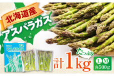 グリーンアスパラガス 1kg　（ L・Ｍサイズ 各500g）《喜茂別町》【Aコープようてい】 アスパラ アスパラガス 野菜 セット 詰め合わせ 北海道 2025 採れたて 冷蔵配送 冷蔵 [AJAK002] 11000 11000円