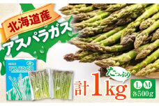 グリーンアスパラガス 1kg　（ L・Ｍサイズ 各500g）《喜茂別町》【Aコープようてい】 アスパラ アスパラガス 野菜 セット 詰め合わせ 北海道 2025 採れたて 冷蔵配送 冷蔵 [AJAK002] 11000 11000円